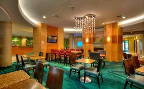 Springhill Suites By Marriott - Tampa Brandon